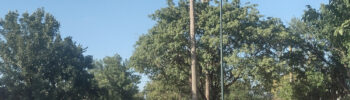 Pronóstico trimestral: anticipan temperaturas superiores a lo normal en casi todo el país