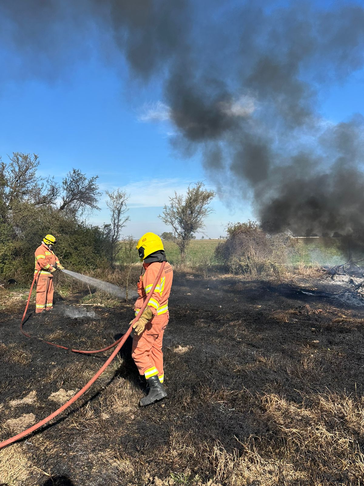 Incendio forestal en zona rural de Colonia Beiro