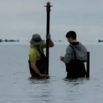 Estudio científico revela cómo los ríos moldean la salinidad de la Laguna Mar Chiquita