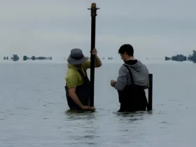 Estudio científico revela cómo los ríos moldean la salinidad de la Laguna Mar Chiquita