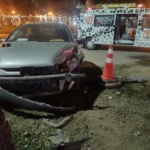Bomberos trabajaron tras la colisión de un vehículo contra una planta en el cantero central