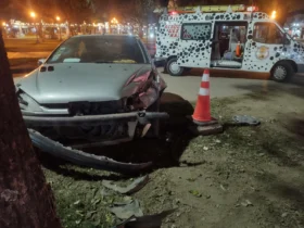Bomberos trabajaron tras la colisión de un vehículo contra una planta en el cantero central