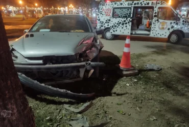 Bomberos trabajaron tras la colisión de un vehículo contra una planta en el cantero central