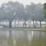 Anuncian niebla para este miércoles y probabilidad de lluvias hacia el jueves