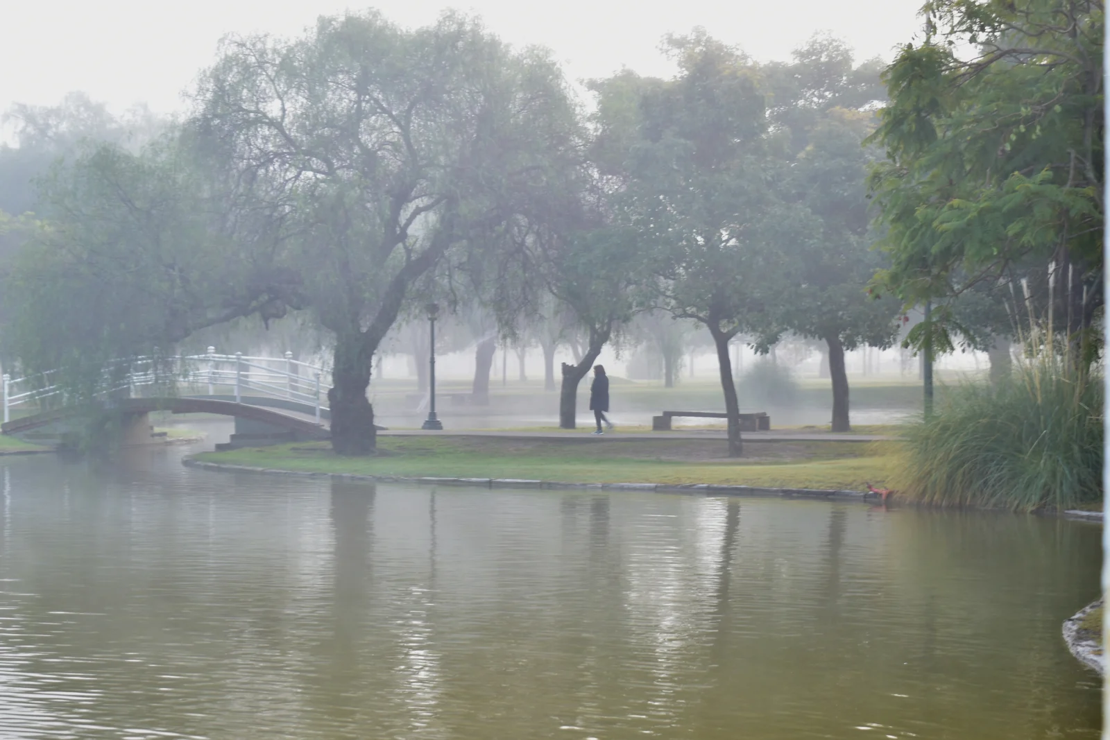 Anuncian niebla para este miércoles y probabilidad de lluvias hacia el jueves