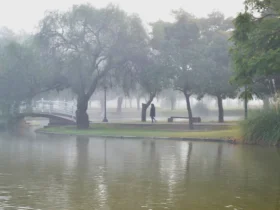 Anuncian niebla para este miércoles y probabilidad de lluvias hacia el jueves
