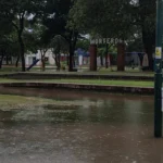 Alerta amarilla: anuncian tormentas y ráfagas de hasta 80 km/h para este jueves