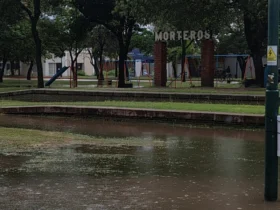 Alerta amarilla: anuncian tormentas y ráfagas de hasta 80 km/h para este jueves