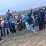 Imputarán a 12 vecinos de Morteros y Brinkmann por faenar animales vivos tras el vuelco de un camión