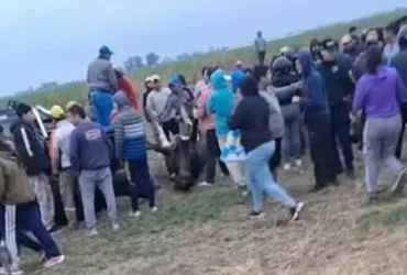 Imputarán a 12 vecinos de Morteros y Brinkmann por faenar animales vivos tras el vuelco de un camión