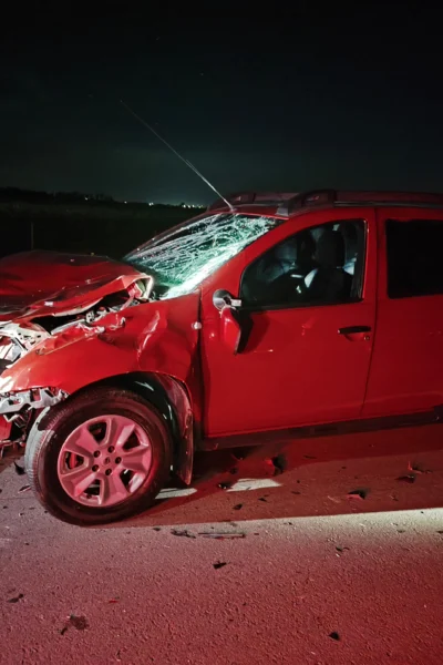 Una camioneta chocó contra un animal vacuno en el camino a Colonia San Pedro