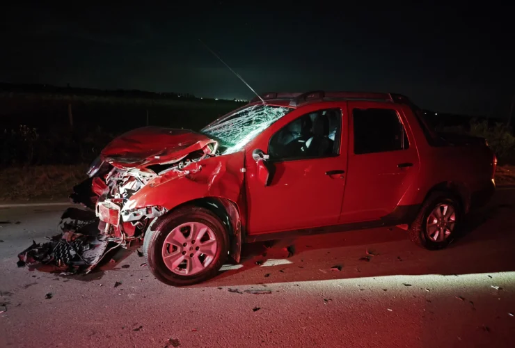 Una camioneta chocó contra un animal vacuno en el camino a Colonia San Pedro