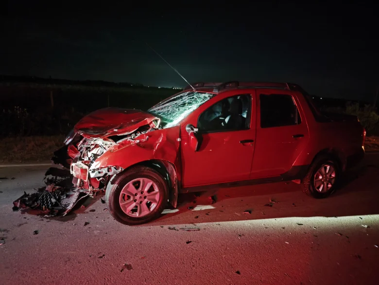 Una camioneta chocó contra un animal vacuno en el camino a Colonia San Pedro