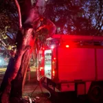 Bomberos de Morteros controlaron un incendio en un eucalipto del Jockey Club