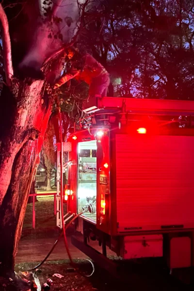 Bomberos de Morteros controlaron un incendio en un eucalipto del Jockey Club
