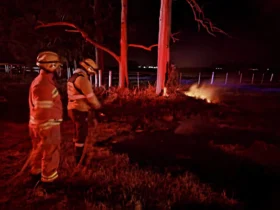 Bomberos de Morteros trabajaron en dos incendios durante la noche del martes