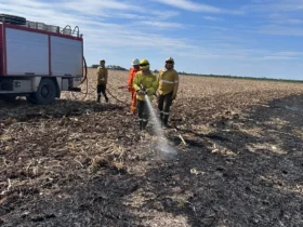Bomberos controlaron un incendio de rastrojo de maíz en Colonia San Pedro