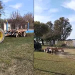 Club San Jorge de Morteros continúa con obras y mejoras en sus instalaciones