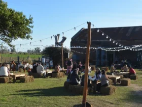 Emprendedores morterenses organizan una nueva feria al aire libre