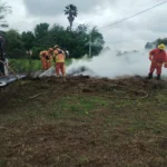 Bomberos extinguieron un incendio de pastizales en Morteros