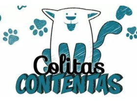 Después de 10 años, Colitas Contentas Morteros da un paso al costado y otra red continuará con los rescates
