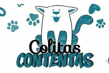 Después de 10 años, Colitas Contentas Morteros da un paso al costado y otra red continuará con los rescates
