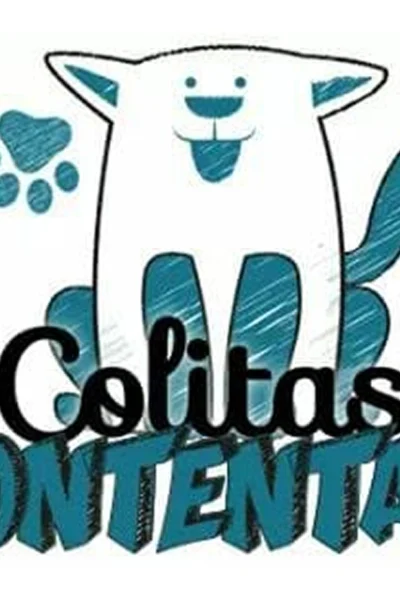 Después de 10 años, Colitas Contentas Morteros da un paso al costado y otra red continuará con los rescates