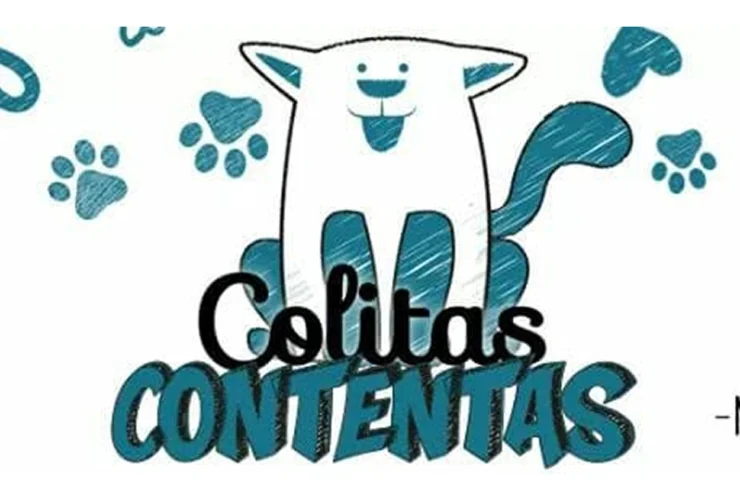 Después de 10 años, Colitas Contentas Morteros da un paso al costado y otra red continuará con los rescates