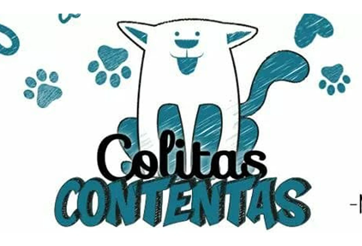 Después de 10 años, Colitas Contentas Morteros da un paso al costado y otra red continuará con los rescates